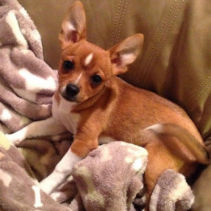 Meet your Posher, Michelle